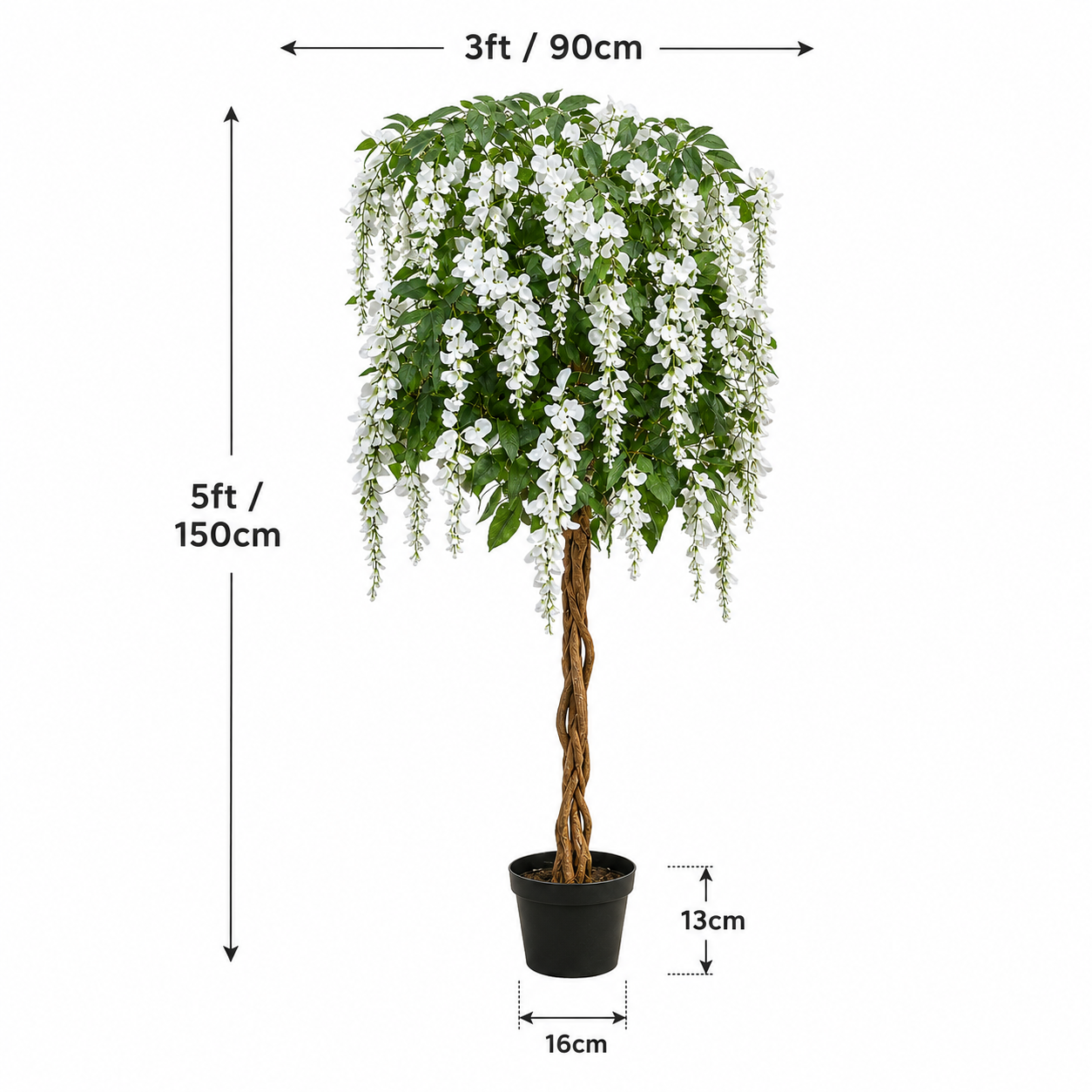 White Wisteria Tree Potted Plant 150cm/5ft - A1213