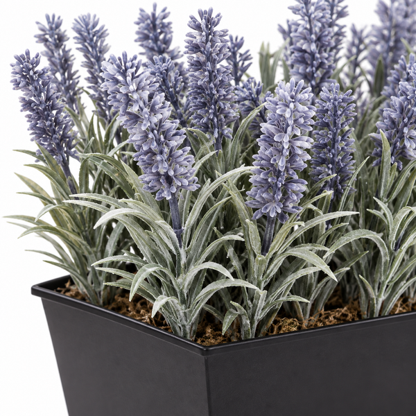Lavender Tin Black Planter Window Box 30cm/12in - A1214