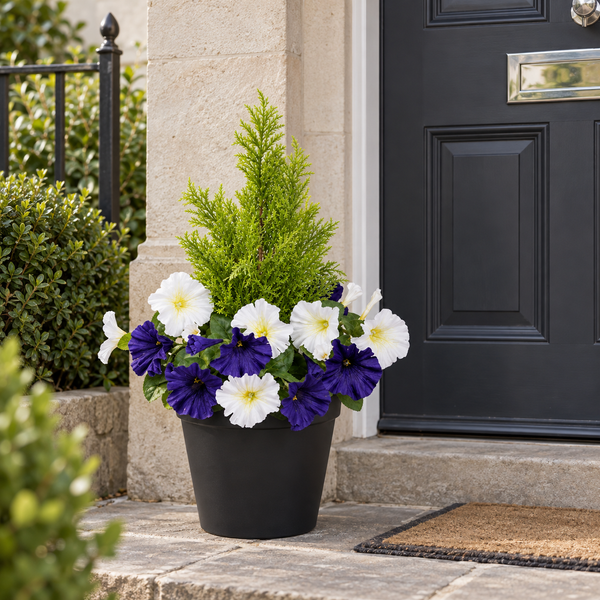 Dark Purple & White Petunia Black Patio Planter 60cm/24in - A1241