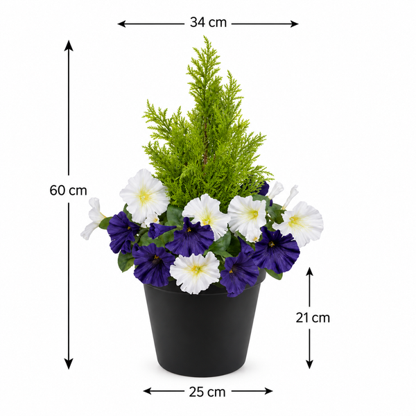 Dark Purple & White Petunia Black Patio Planter 60cm/24in - A1241
