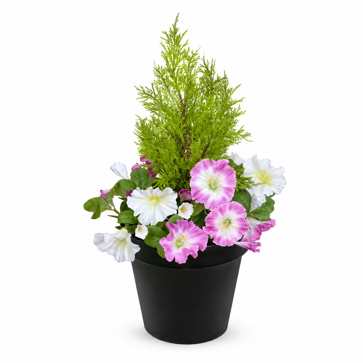 Pink & White Petunia Black Patio Planter 60cm/24in - A1242