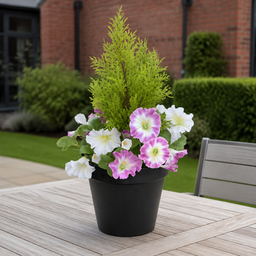 Pink & White Petunia Black Patio Planter 60cm/24in - A1242