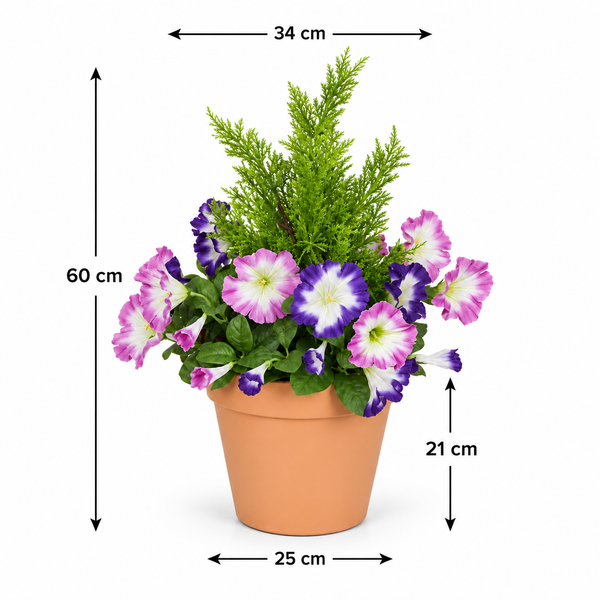 Pink & Purple Petunia Terracotta Patio Planter 60cm/24in - A1244