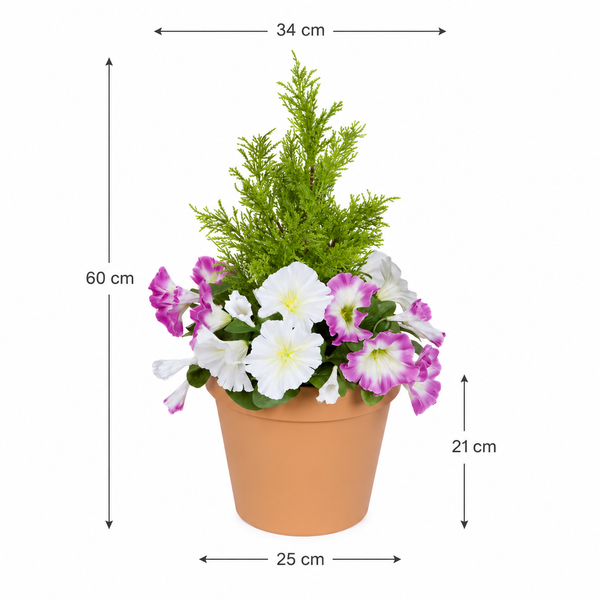 Pink & White Petunia Terracotta Patio Planter 60cm/24in - A1246
