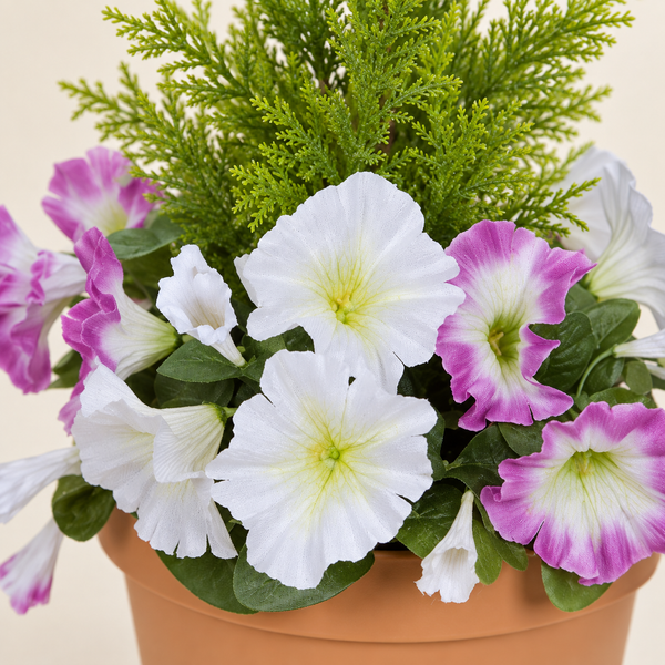 Pink & White Petunia Terracotta Patio Planter 60cm/24in - A1246