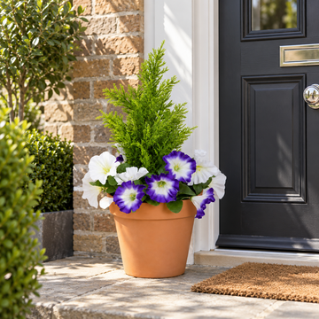 Purple & White Petunia Terracotta Patio Planter 60cm/24in - A1247