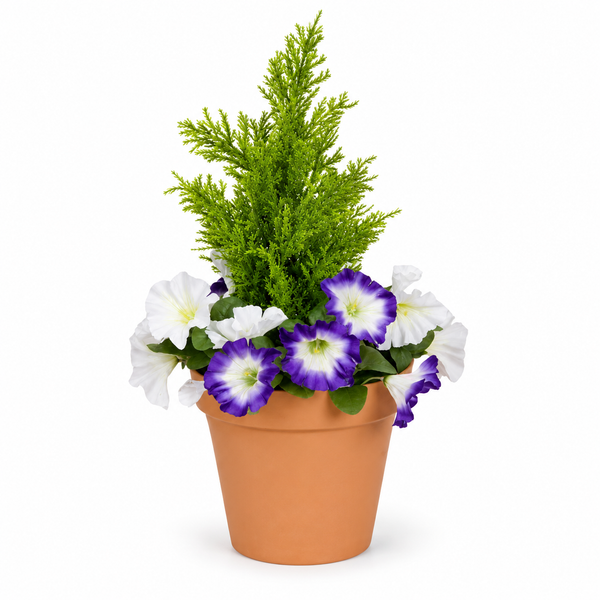 Purple & White Petunia Terracotta Patio Planter 60cm/24in - A1247