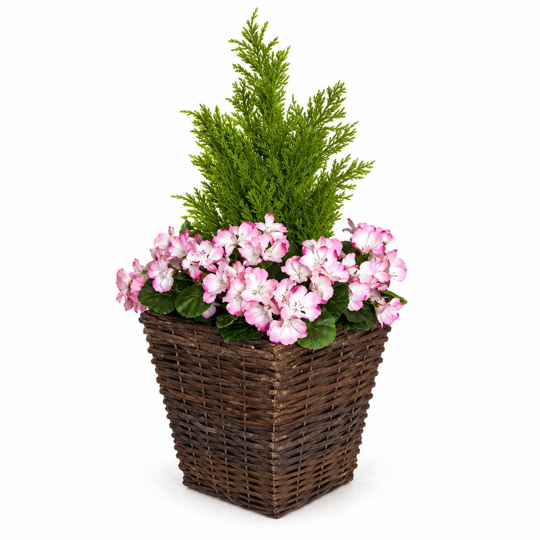 Pink Geranium Rattan Patio Planters 60cm/24in (Set of 2) - A1257