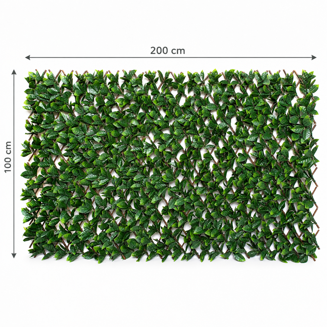 Expanding Green Wall Willow Trellis Fence with Green Foliage (1m x 2m) - A1260