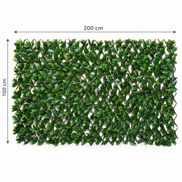 Expanding Green Wall Willow Trellis Fence with Green Foliage (1m x 2m) - A1260