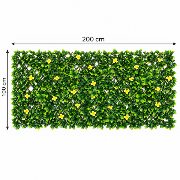 Expanding Green Wall Willow Trellis Fence with Green Foliage and Yellow Flowers (1m x 2m) - A1261