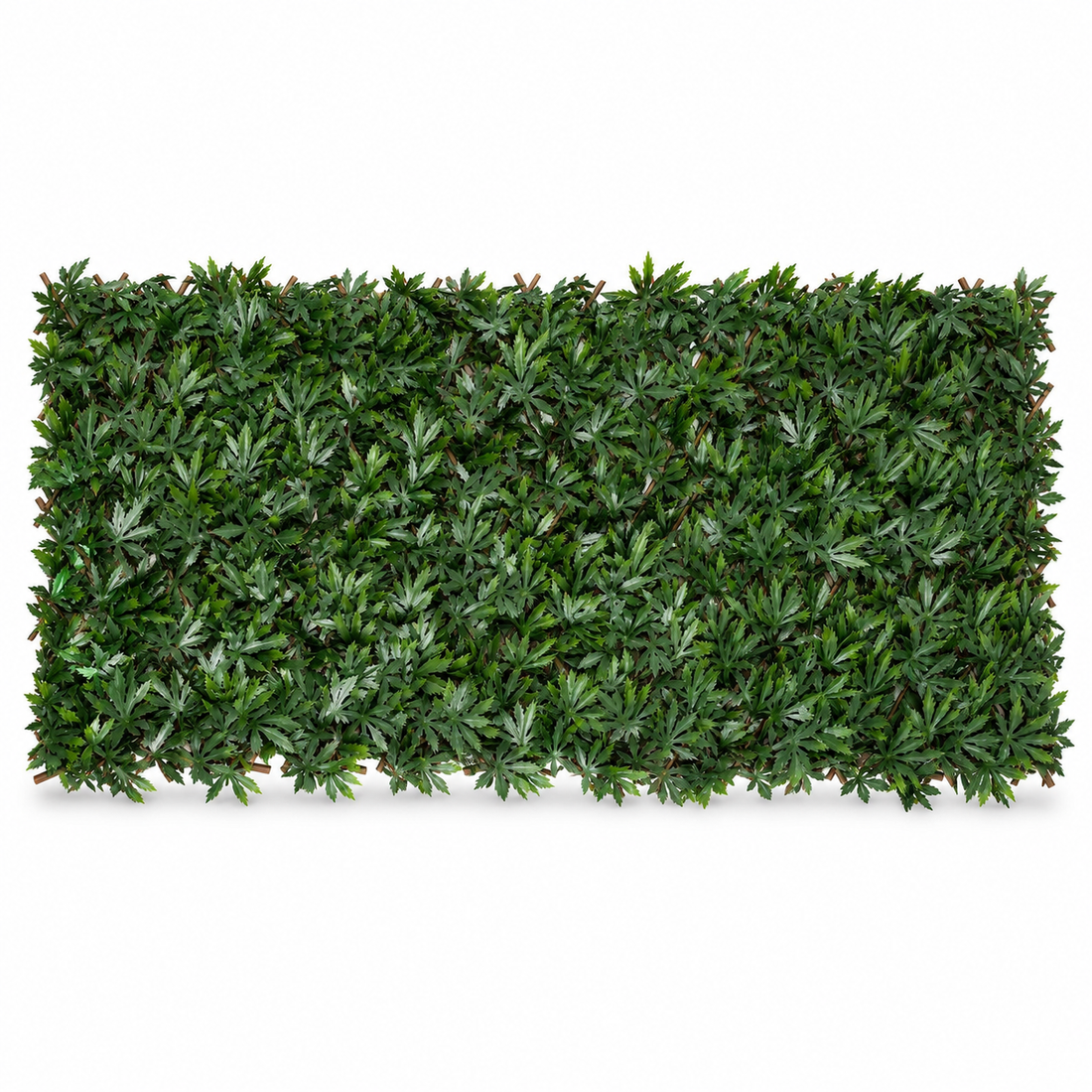 Expanding Green Wall Willow Trellis Fence (1m x 2m) - A1263