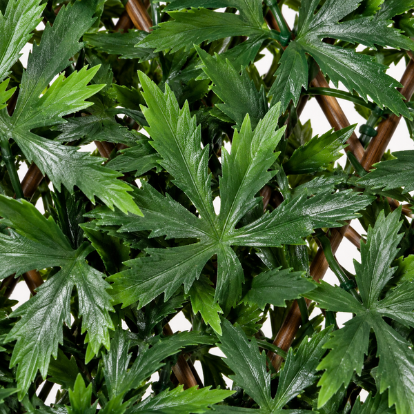 Expanding Green Wall Willow Trellis Fence (1m x 2m) - A1263
