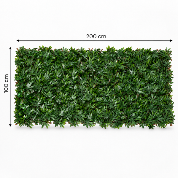 Expanding Green Wall Willow Trellis Fence (1m x 2m) - A1263