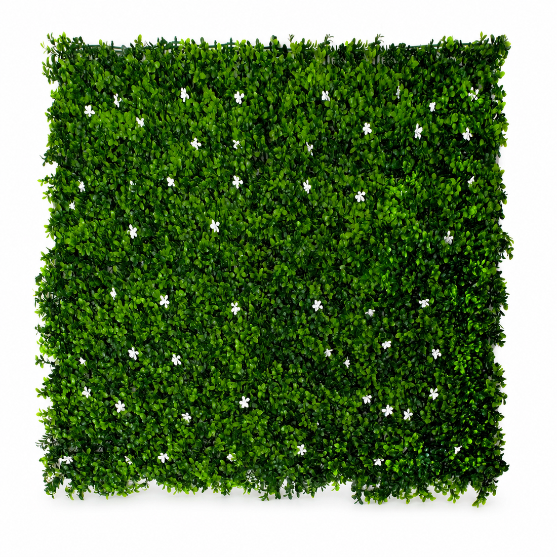 Green Wall Hedge with Green Leaf Foliage and White Flowers (Pack of 4) 50cm x 50cm - A1267