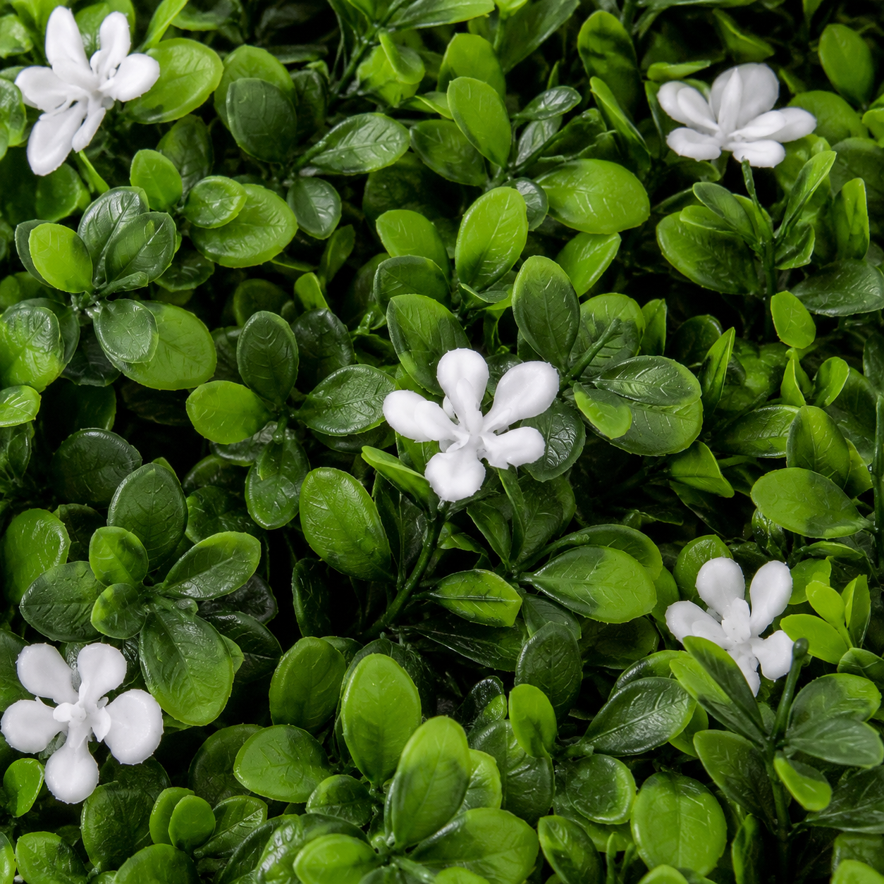 Green Wall Hedge with Green Leaf Foliage and White Flowers (Pack of 4) 50cm x 50cm - A1267