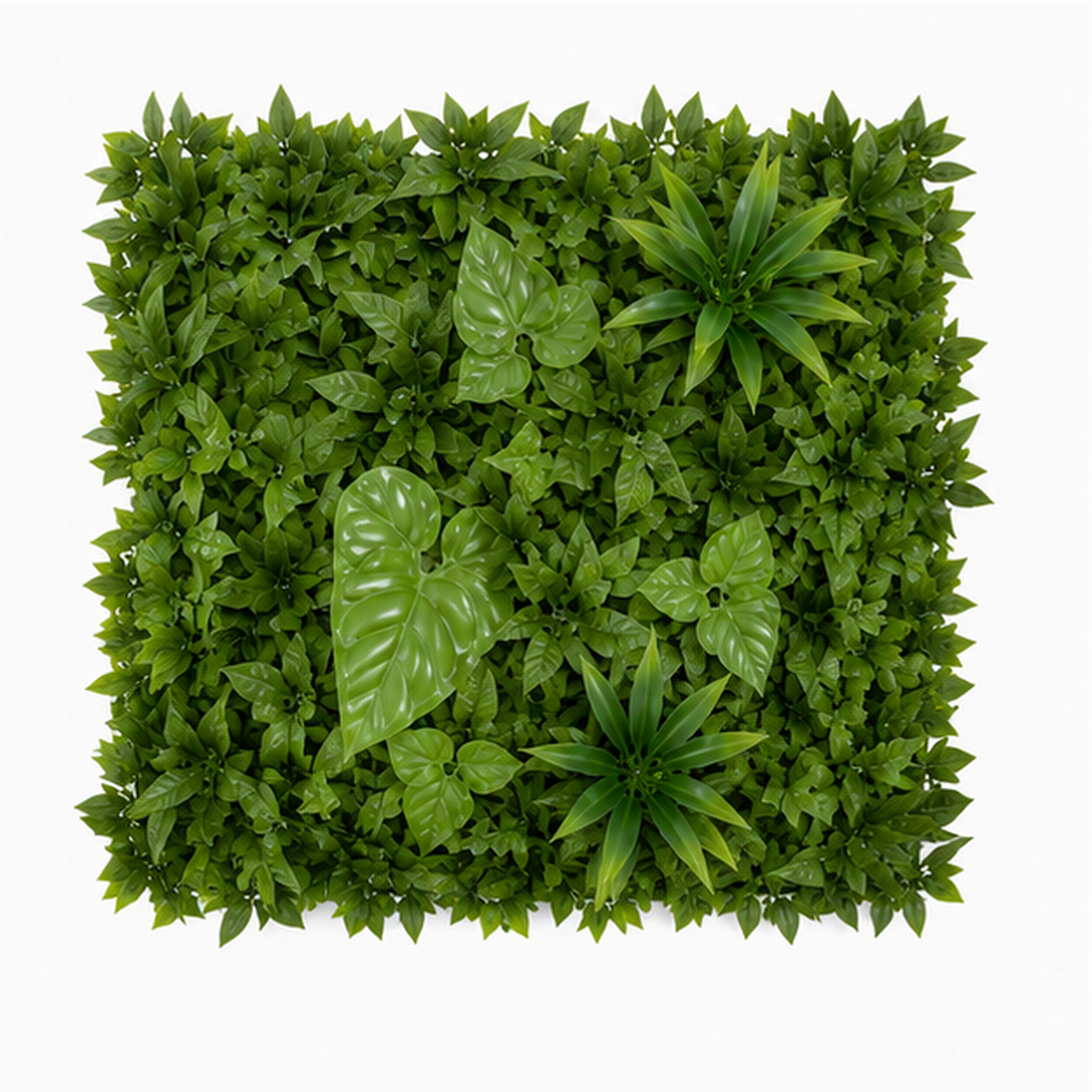 Green Wall Hedge with Dark Leaf Foliage Flowers (Pack of 4) 50cm x 50cm - A1270