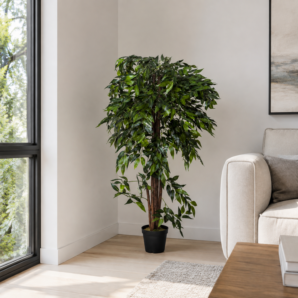Ficus Weeping Fig Tree in Black Pot 140cm/4ft - A1273