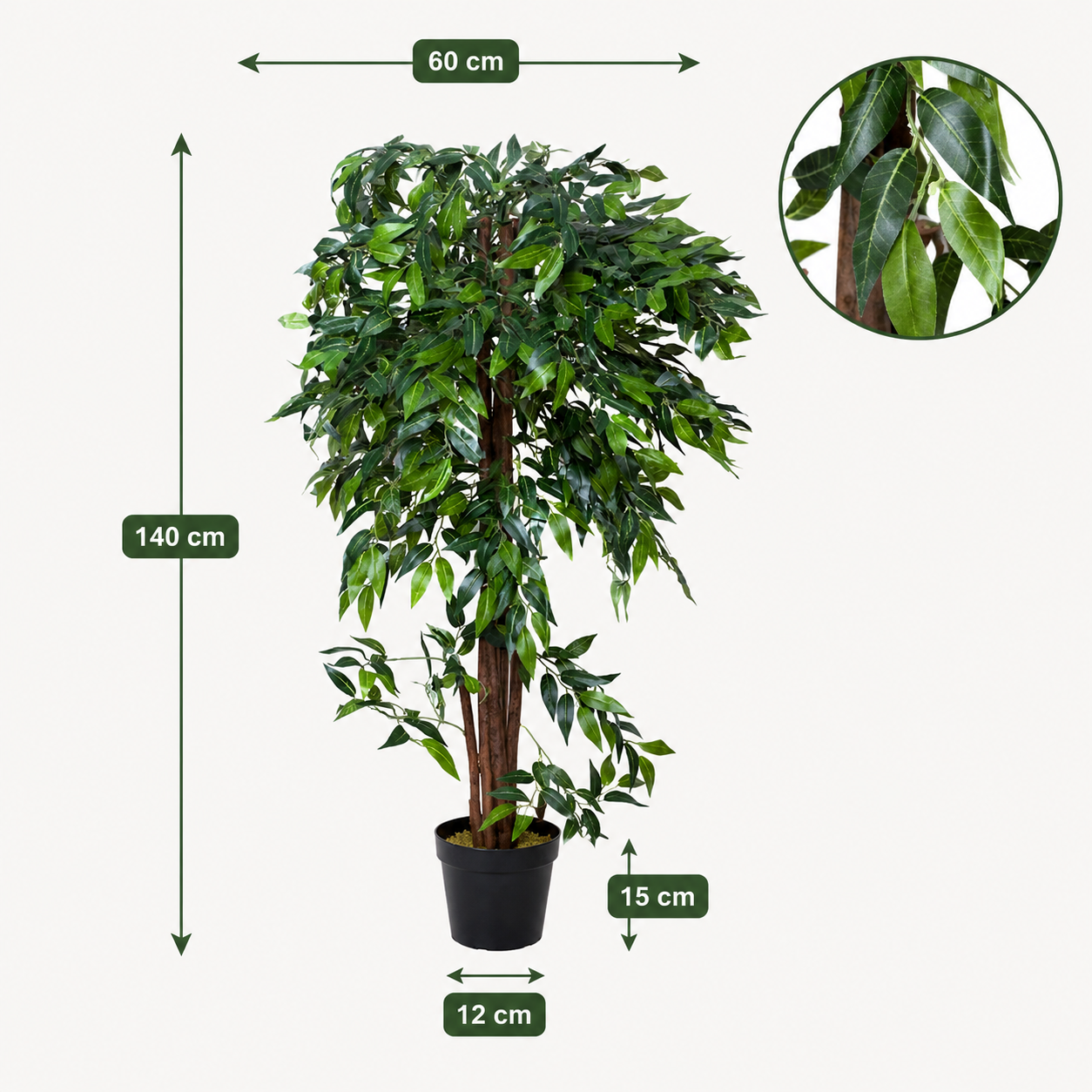 Ficus Weeping Fig Tree in Black Pot 140cm/4ft - A1273