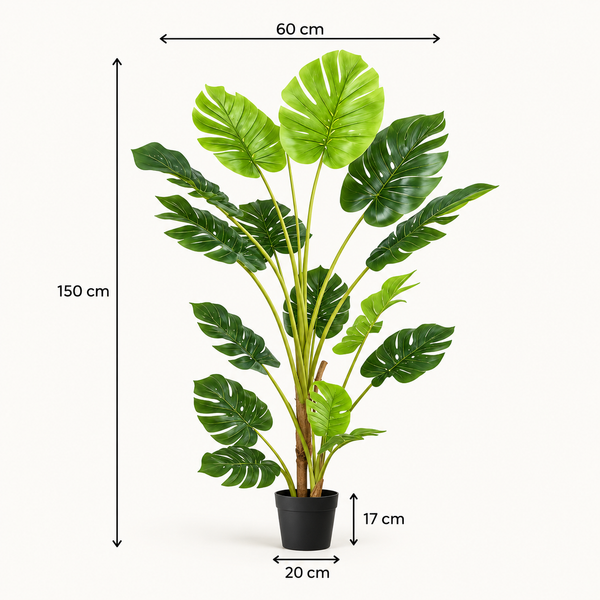 Tropical Monstera Tree in Black Pot 150cm/60in - A1291