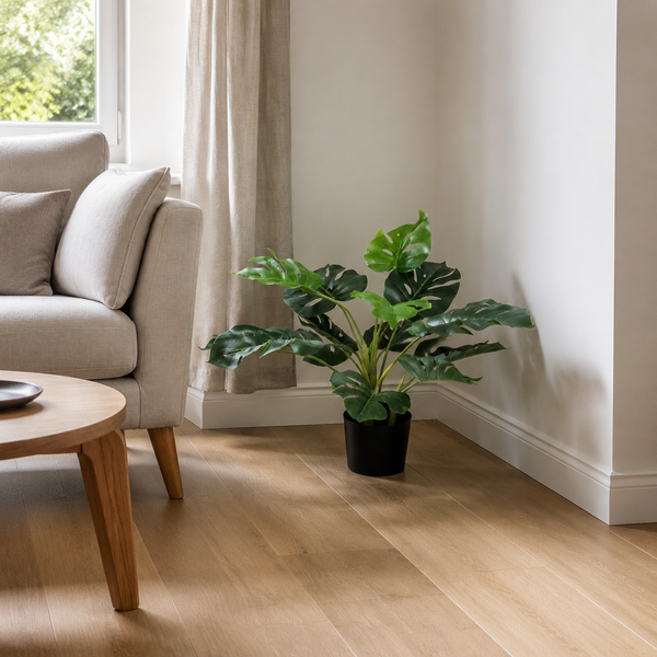 Tropical Monstera Tree in Black Pot 55cm/22in - A1292