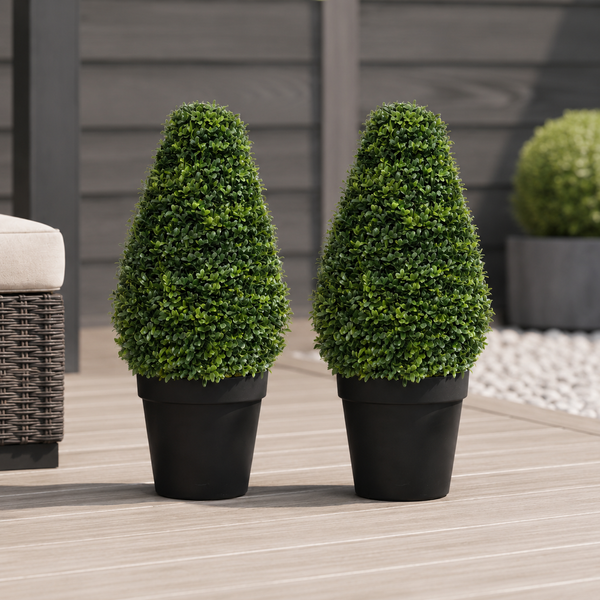 Boxwood Topiary Cone Shaped Potted Plant 70cm/28in (Set of 2) - A1300