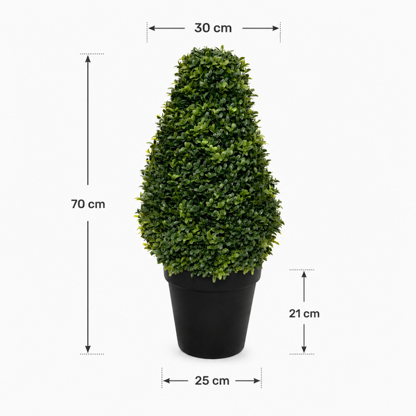 Boxwood Topiary Cone Shaped Potted Plant 70cm/28in (Set of 2) - A1300
