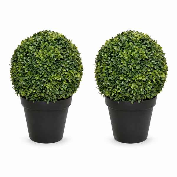 Boxwood Topiary Ball Potted Plant (Set of 2) 30cm/12in - A1301