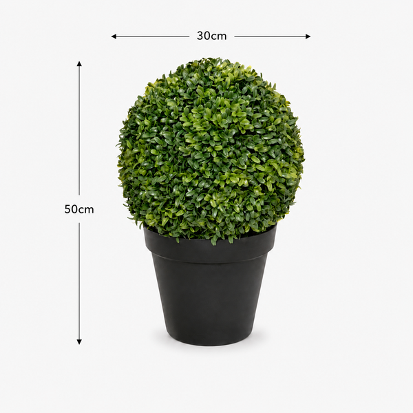 Boxwood Topiary Ball Potted Plant (Set of 2) 30cm/12in - A1301
