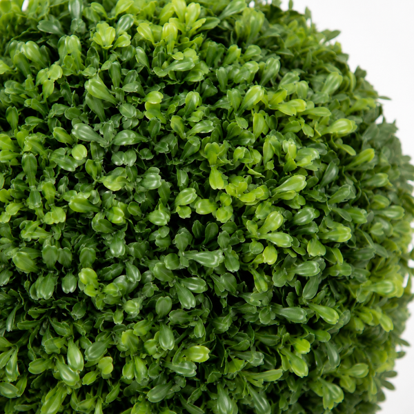 Boxwood Topiary Ball Potted Plant (Set of 2) 30cm/12in - A1301