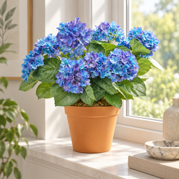 Blue Hydrangea in Terracotta Pot 50cm/20in - A1307