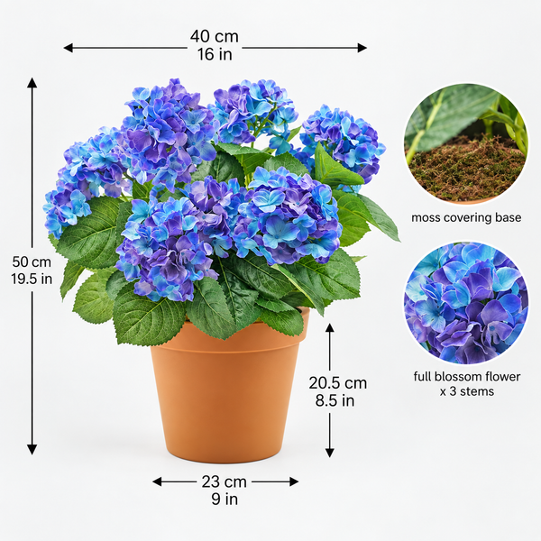 Blue Hydrangea in Terracotta Pot 50cm/20in - A1307