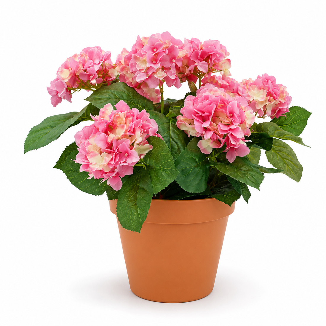 Pink Hydrangea in Terracotta Pot 50cm/20in - A1308