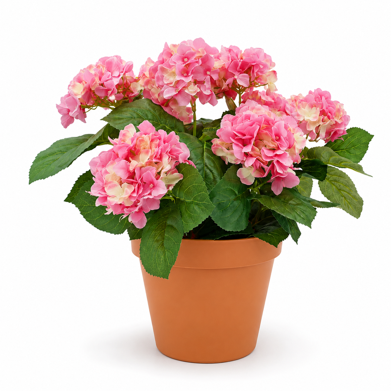 Pink Hydrangea in Terracotta Pot 50cm/20in - A1308