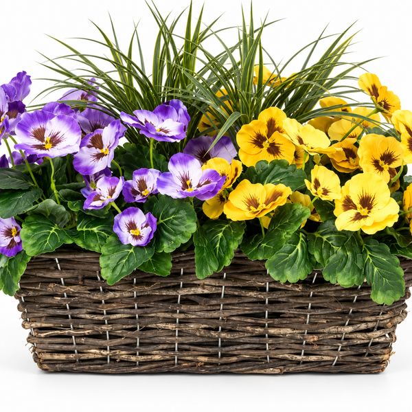 Purple & Yellow Pansy Rattan Window Box 58cm/23in - A1310