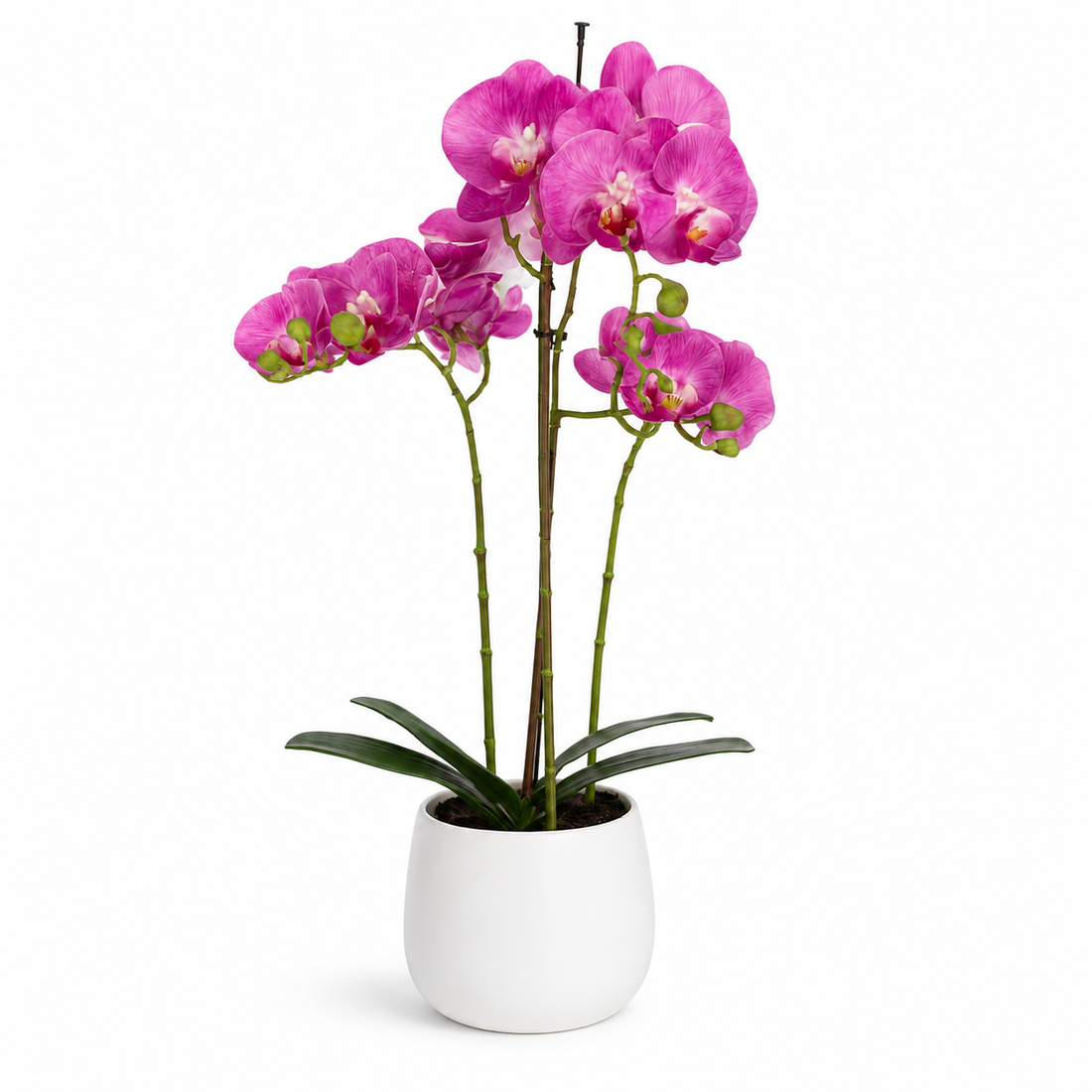 Elegant Real Touch Large Triple Stem Pink Potted Orchid in Round White Ceramic Pot (65cm) - A1317