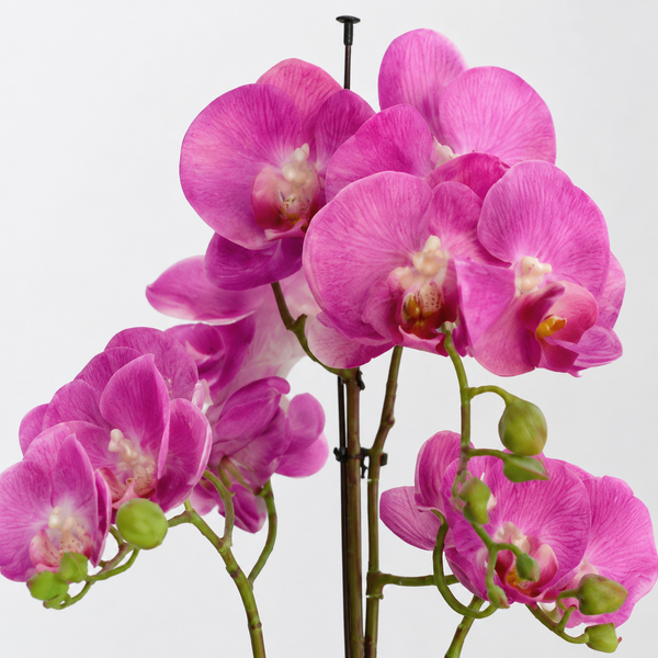 Elegant Real Touch Large Triple Stem Pink Potted Orchid in Round White Ceramic Pot (65cm) - A1317