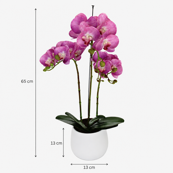 Elegant Real Touch Large Triple Stem Pink Potted Orchid in Round White Ceramic Pot (65cm) - A1317
