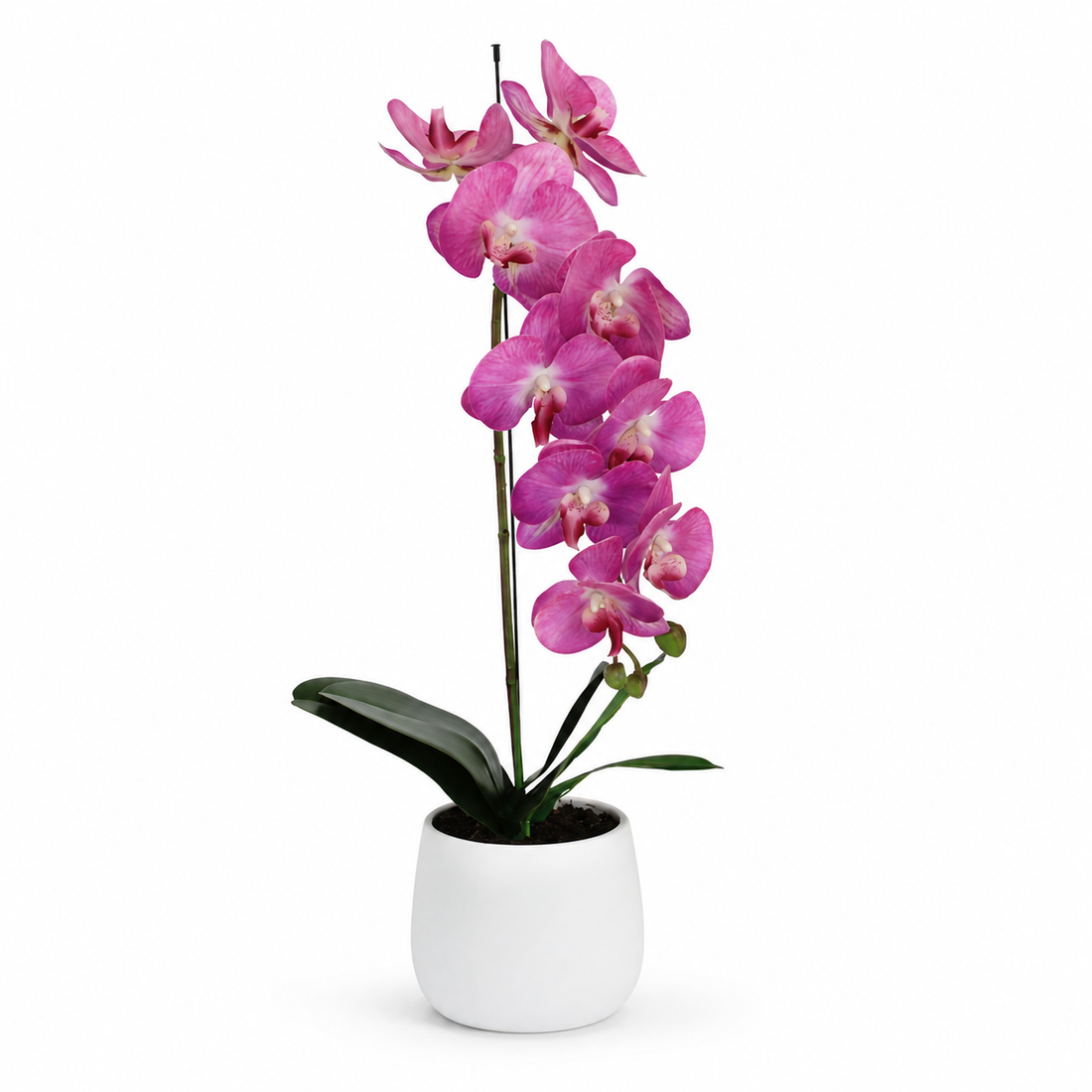 Elegant Real Touch Large Single Stem Pink Potted Orchid in Round White Ceramic Pot (65cm) - A1318