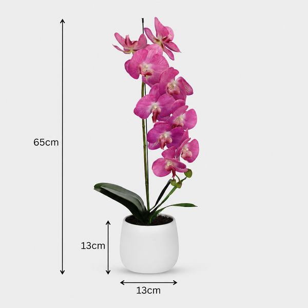 Elegant Real Touch Large Single Stem Pink Potted Orchid in Round White Ceramic Pot (65cm) - A1318