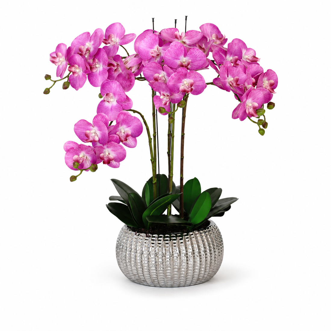 Elegant Real Touch Large Six Stem Butterfly Pink Potted Orchid in Decorative Silver Ceramic Pot (65cm)- A1319