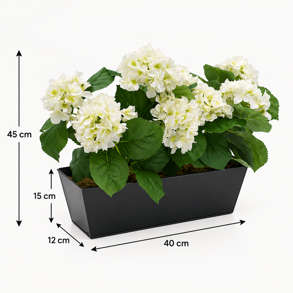 White Hydrangea in Black Metal Window Box - A1321