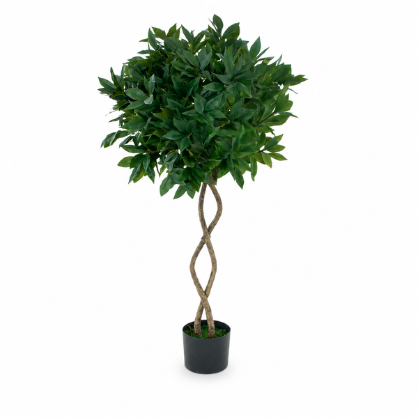 Twisted Trunk Bay Laurel Tree 4ft/120 cm - With Wood Effect Trunk, Natural Leaf and Brown Berries - A1324