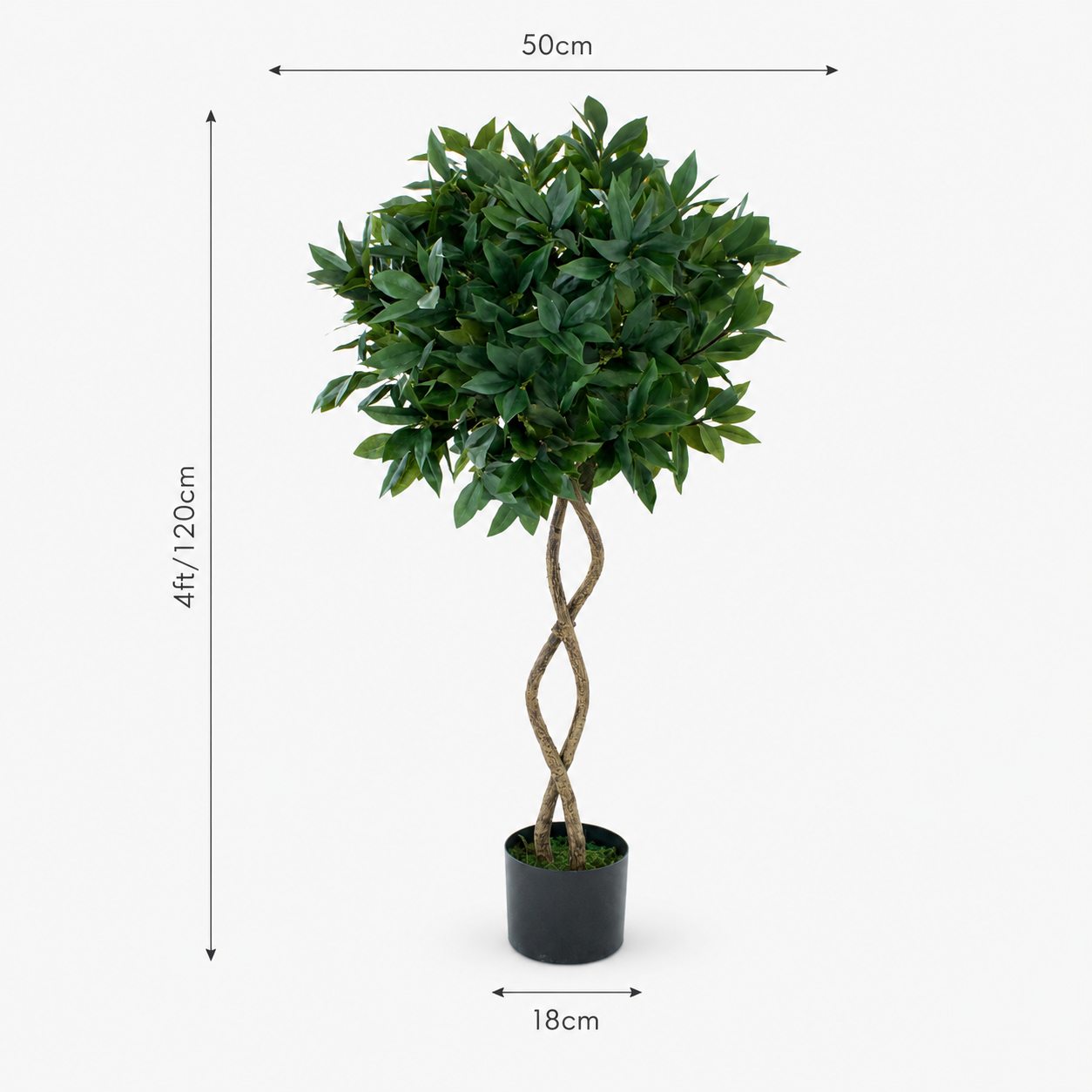 Twisted Trunk Bay Laurel Tree 4ft/120 cm - With Wood Effect Trunk, Natural Leaf and Brown Berries - A1324