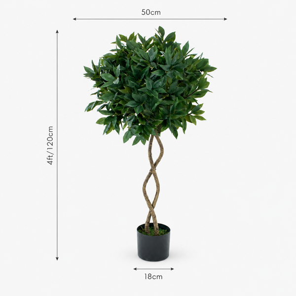 Twisted Trunk Bay Laurel Tree 4ft/120 cm - With Wood Effect Trunk, Natural Leaf and Brown Berries - A1324