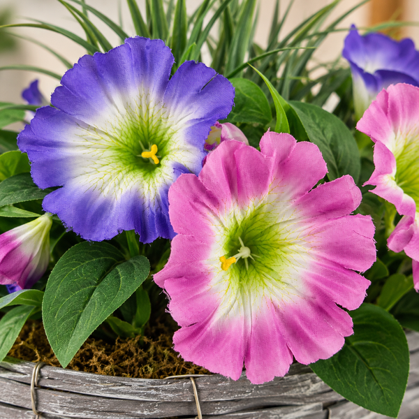 Pink & Purple Petunia in Grey Willow Basket 40cm - A1328