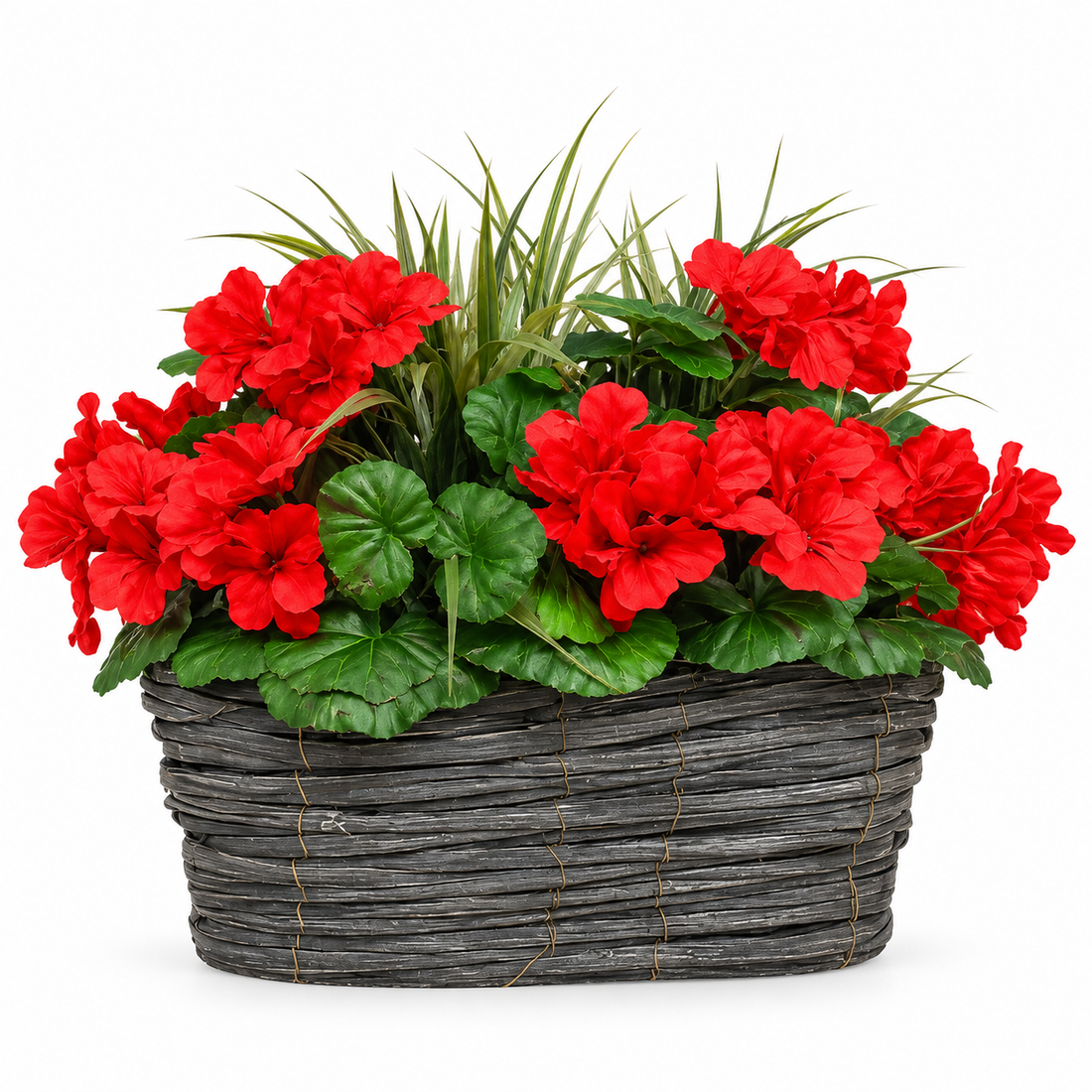 Red Geranium Flowers & Lemon Grass in Grey Willow Basket 40cm - A1329