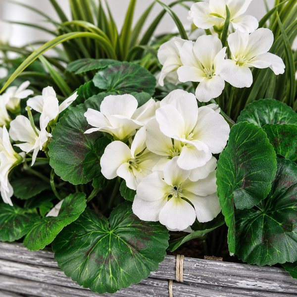 White Geranium Flowers in Grey Willow Basket 40cm - A1330