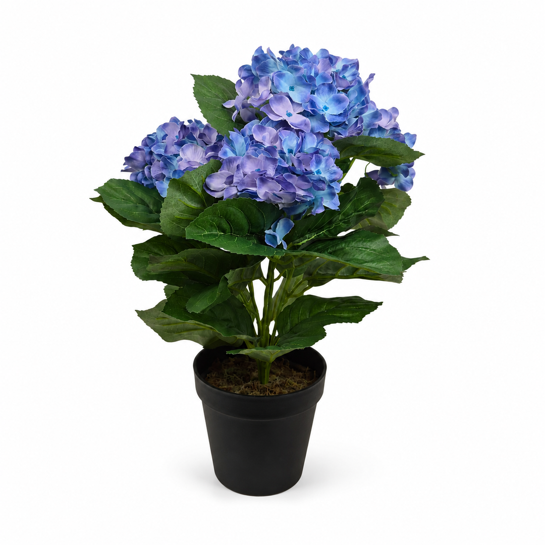 Blue Hydrangea Bush in Black Plastic Pot (Set of 2) 42cm - UV Protected, Faux Silk - A1339