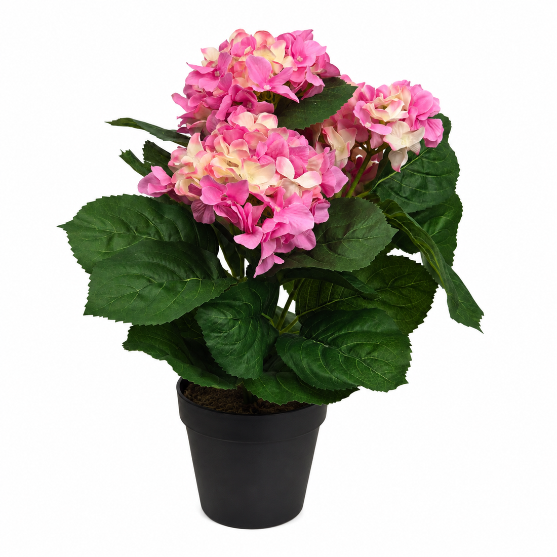 Pink Hydrangea Bush in Black Plastic Pot (Set of 2) 42cm - UV Protected, Faux Silk - A1340